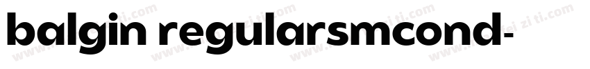 balgin regularsmcond字体转换